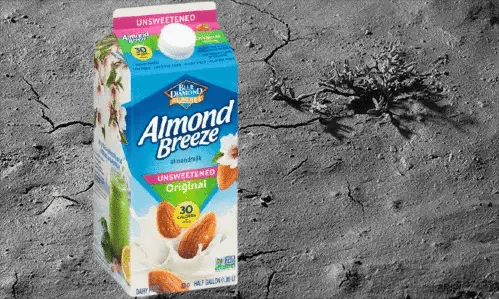 California’s drought puts a damper on absolutely nuts almond demand